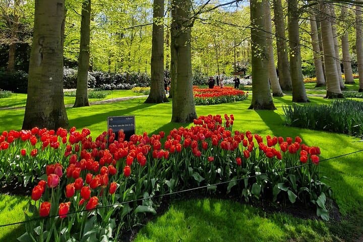 Amsterdam in Four Hours: Private Personalized Canals, Culture & Local Insights photo 2