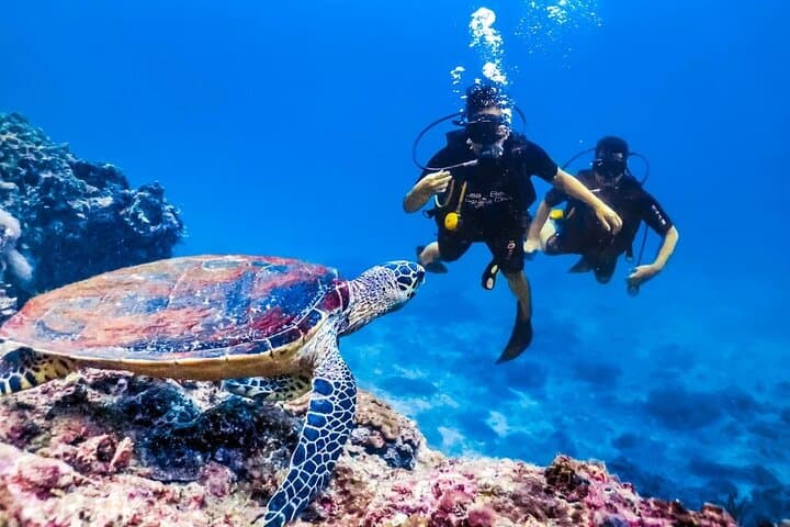 Hurghada Beginner Scuba Day Trip: Full-Day Red Sea Diving with Lunch photo 4