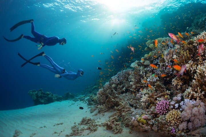 Hurghada Beginner Scuba Day Trip: Full-Day Red Sea Diving with Lunch photo 5
