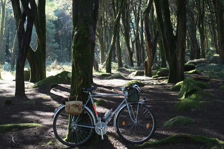 Monsanto Vintage Bike Tour: 15–20 km Classic Bike Ride Through Lisbon’s Forest Park