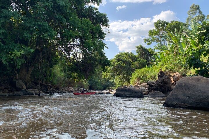 Uganda Jungle Rafting on the Birira River — 25km of Class II–IV Rapids from Rukungiri