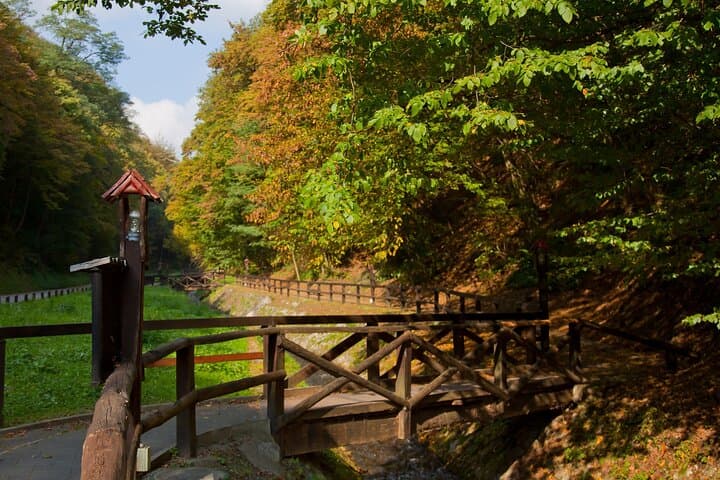 Sljeme to Puntjarka: Medvednica Hiking Trail — A Day Hike from Zagreb photo 4