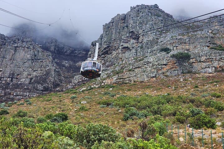 Cape Town in a Day: Table Mountain, Boulders Penguins and Cape Point Private Tour photo 2