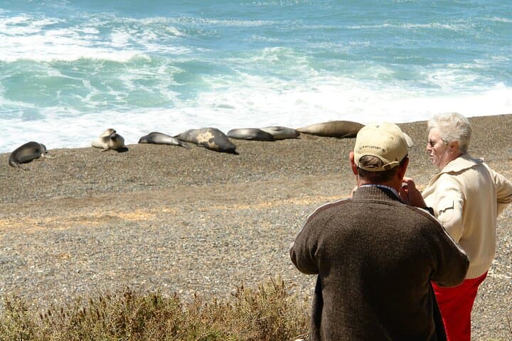 Peninsula de Valdes Wildlife Day Trip from Puerto Madryn photo 2