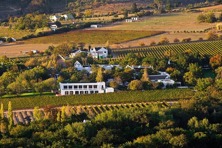 cape-town-wine-tour-3-vineyards-16-tastings-6-cheese-pairings photo 6