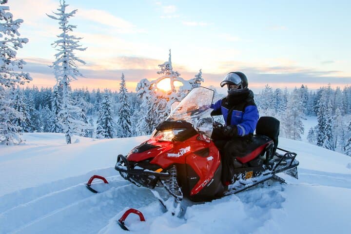 Scenic Snowmobile Safari in Saariselkä: 2-Hour Arctic Ride