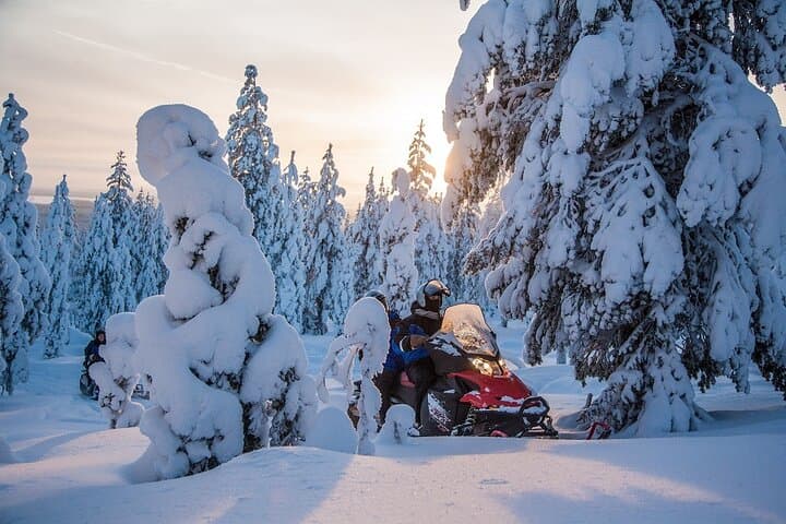 Scenic Snowmobile Safari in Saariselkä: 2-Hour Arctic Ride photo 3