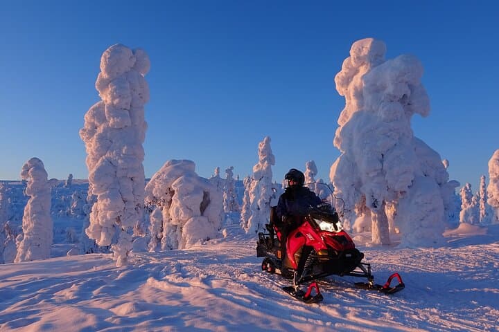 Full-Day Saariselkä Snowmobile Adventure: Wilderness Safari & Lappish Lunch photo 2