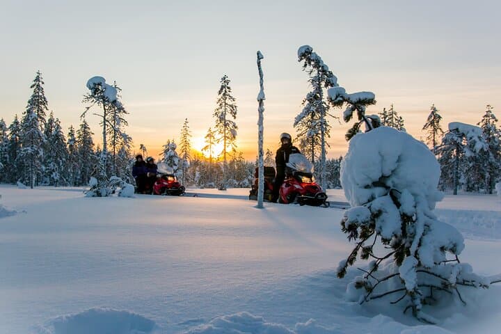 Full-Day Saariselkä Snowmobile Adventure: Wilderness Safari & Lappish Lunch photo 3