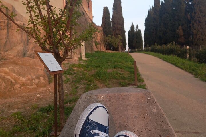 Vespa Through Val d'Orcia: Montepulciano, Pienza & Monticchiello in 4 Hours photo 6