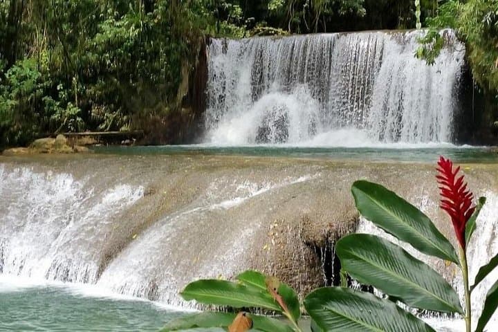 YS Falls and Pelican Bar Day Trip from Montego Bay: Waterfalls, Zipline & Rustic Ocean Bar photo 3