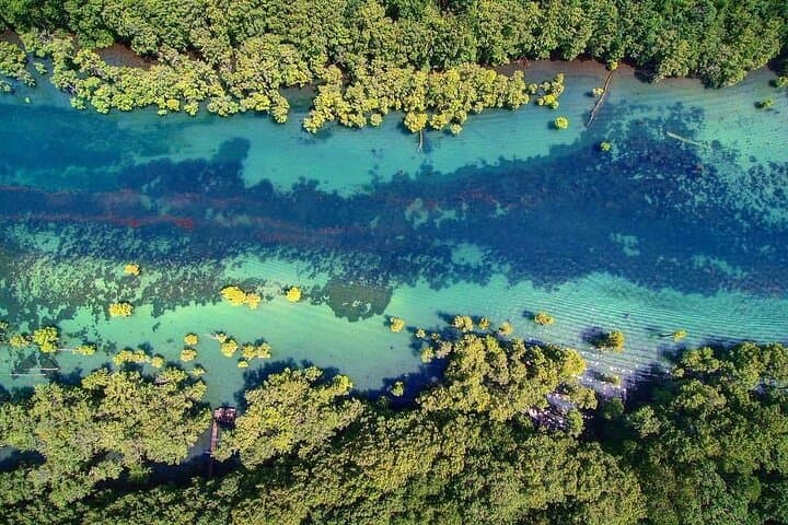 Merritts Mill Pond Eco Adventure — Kayak & Snorkel Jackson Blue Springs photo 3