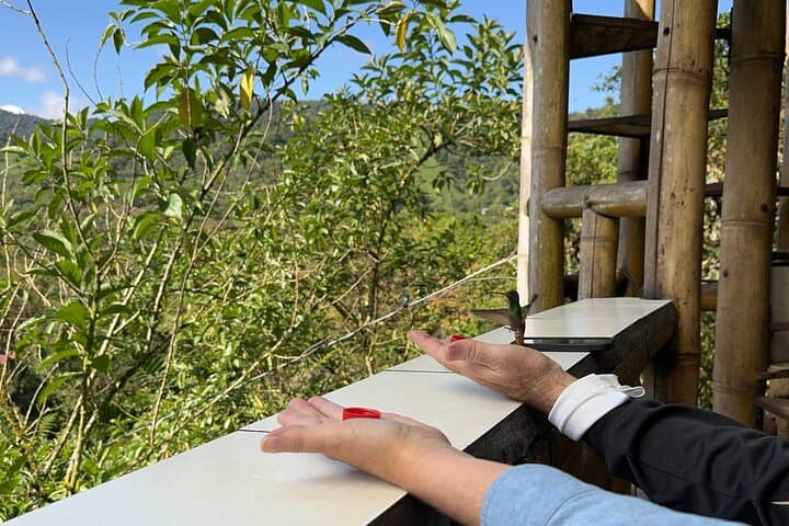 Mindo Cloud Forest Full-Day Tour from Quito — Birds, Waterfalls & Chocolate photo 4