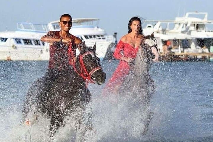 Desert and Sea Horseback Ride in Hurghada — 2-Hour Coastal & Desert Experience photo 6