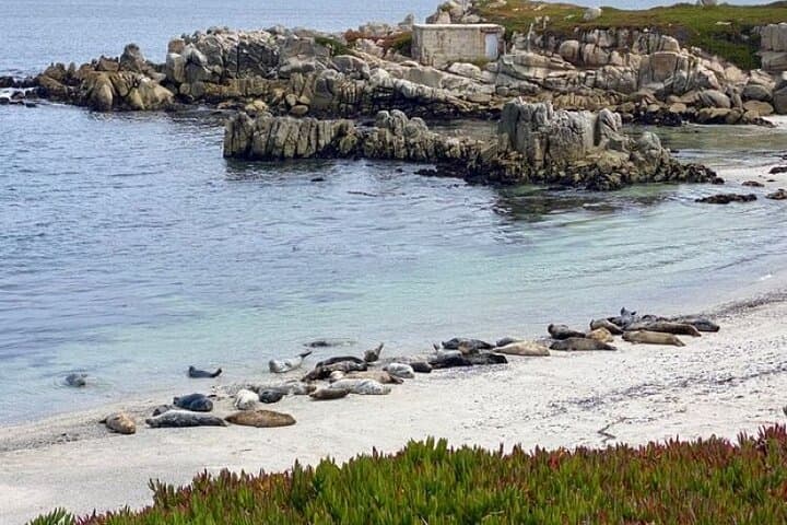 Monterey 17-Mile Drive Electric Bike Guided Tour — E‑Bike the Pebble Beach Coast photo 6