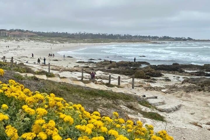 Monterey 17-Mile Drive Electric Bike Guided Tour — E‑Bike the Pebble Beach Coast photo 4