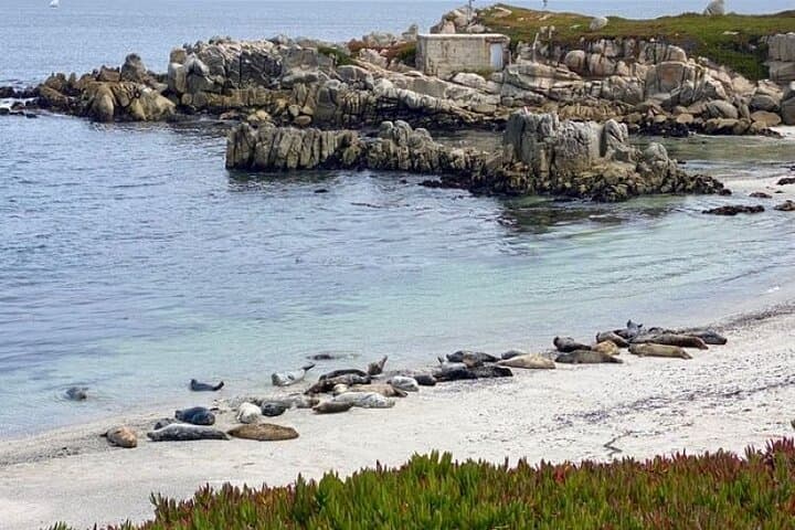 Exploring 17-Mile Drive by Electric Bike: A Guided Journey Through Pebble Beach’s Coastal Icons photo 6