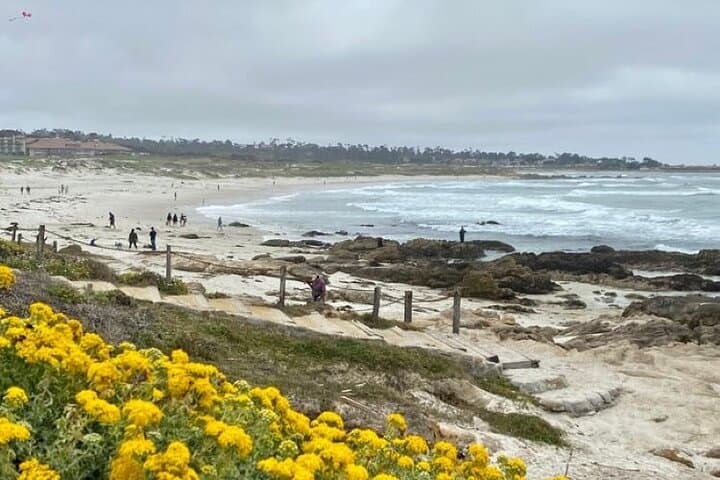 Exploring 17-Mile Drive by Electric Bike: A Guided Journey Through Pebble Beach’s Coastal Icons photo 4