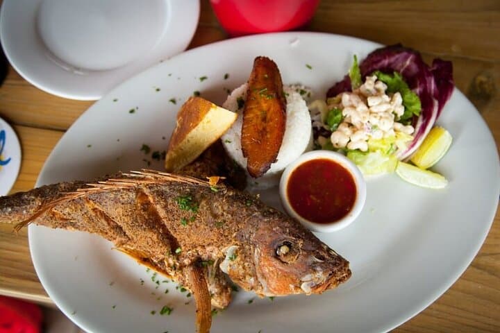 Private Aruban Culinary Experience on a Mangrove Reef Island photo 4