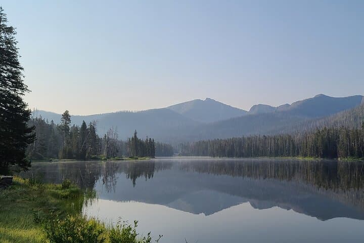 Early Morning Winter Wildlife Tour to Spot Wolves and Grizzly Bears in Yellowstone photo 4