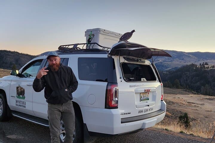 Early Morning Winter Wildlife Tour to Spot Wolves and Grizzly Bears in Yellowstone photo 5