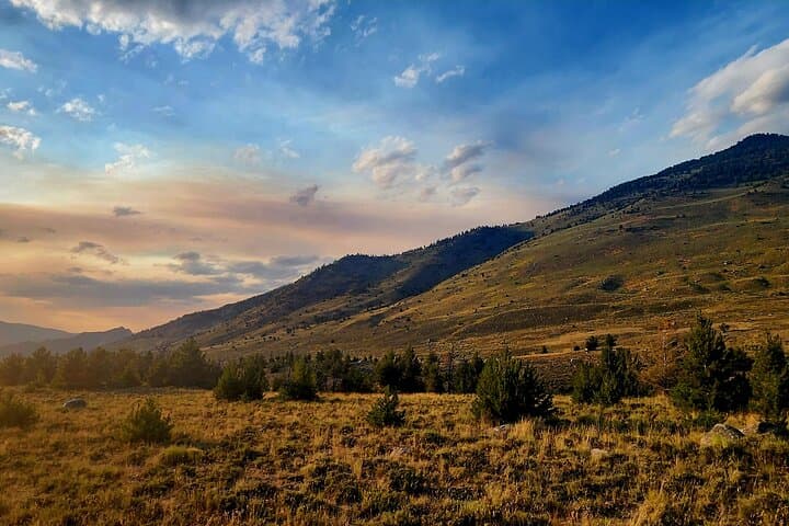 Early Morning Winter Wildlife Tour to Spot Wolves and Grizzly Bears in Yellowstone photo 6