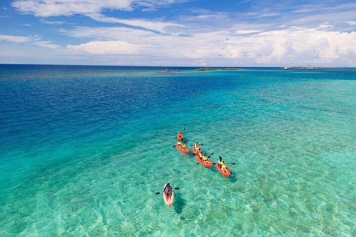Aruba Kayak Explorers: Mangel Halto Barrier Reef Kayak & Snorkel Tour photo 2