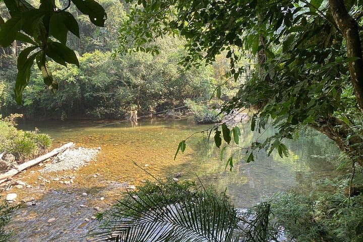 Full-Day Private Jungle Rafting, Paragliding & Natural Pools Tour from Medellín photo 3
