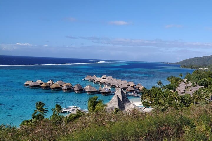 Moorea by Buggy: A Private Island Circuit from Lagoon to Belvedere photo 3