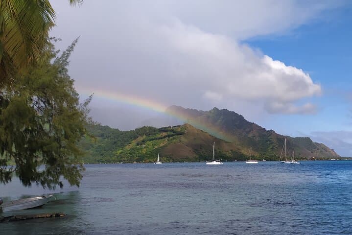 Moorea by Buggy: A Private Island Circuit from Lagoon to Belvedere photo 4