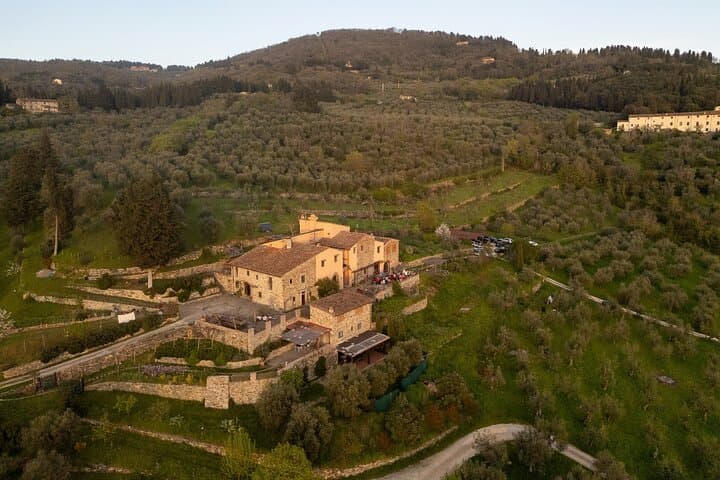 Sunset Yoga in a Tuscan Olive Grove Near Florence photo 4