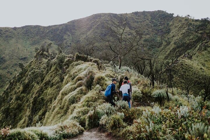 Sunrise and Sunset on Mount Merbabu: 2-Day Guided Trek from Yogyakarta photo 2
