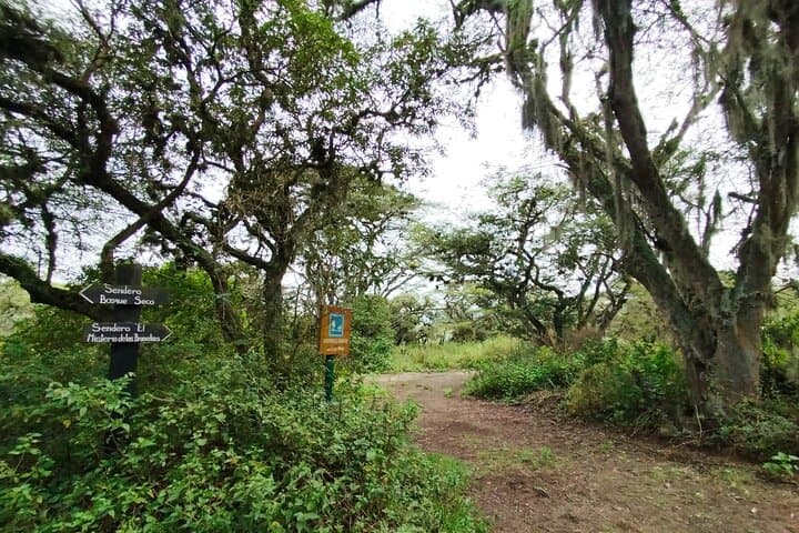 Bromeliads & Dry-Forest Trails: Guided Plant Walk Near Quito photo 5
