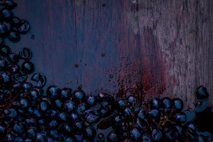 Private Willamette Valley Wine Tour from Newberg — Tastings Included