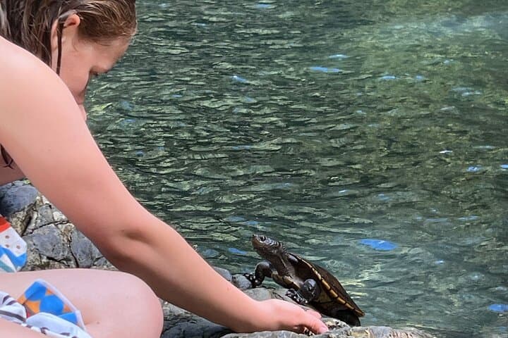 Daintree Waters Tour: ATV Adventures, Cassowary Falls Swim & River Wildlife Cruise photo 6