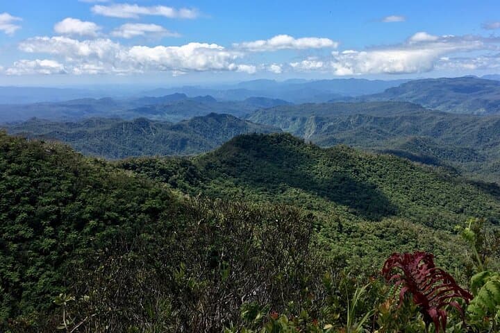 Hike Fiji's Highest Peak: 4-Day Mt Tomanivi Trek with Village Homestays photo 2