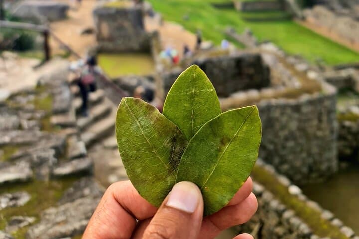 Luxury Vistadome Train to Machu Picchu: One-Day Private Tour from Cusco photo 2