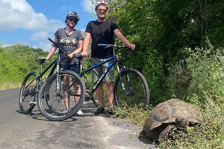 Santa Cruz Bicycle Rental — Explore Galapagos Beaches, Lava Tunnels & Tortoise Reserves photo 3