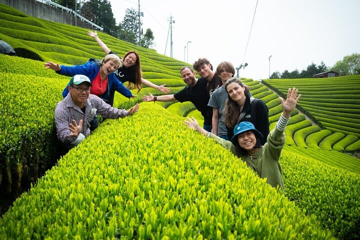 Private Wazuka Matcha Farm Experience — Full-Day Tea Workshop Near Kyoto photo 2