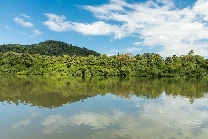 Daintree to Chillagoe: 2-Day Rainforest and Outback Adventure from Cairns photo 5