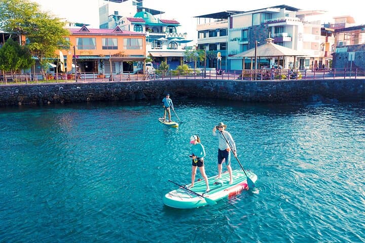 SUP in Super Bay: Paddle San Cristóbal’s Shipwreck Bay with Sea Lions