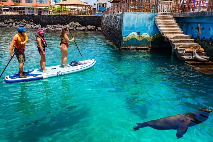SUP in Super Bay: Paddle San Cristóbal’s Shipwreck Bay with Sea Lions photo 6