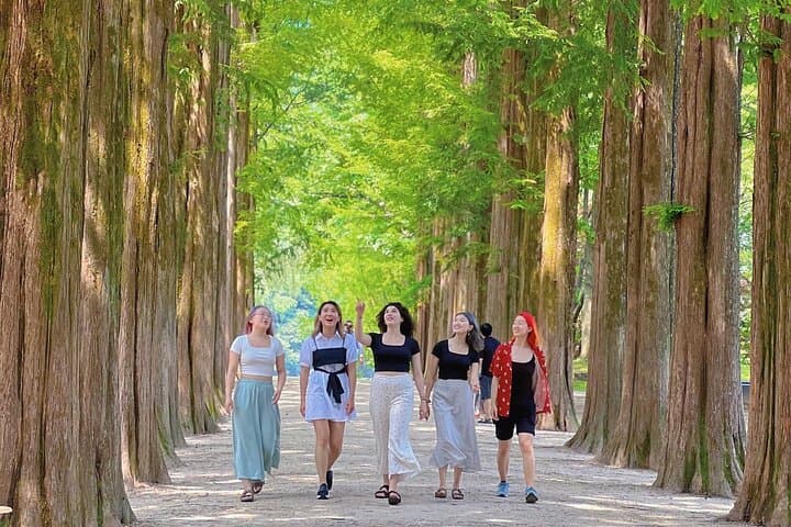 Seoul Day Escape: Alpaca World, Nami Island & Garden of Morning Calm photo 3
