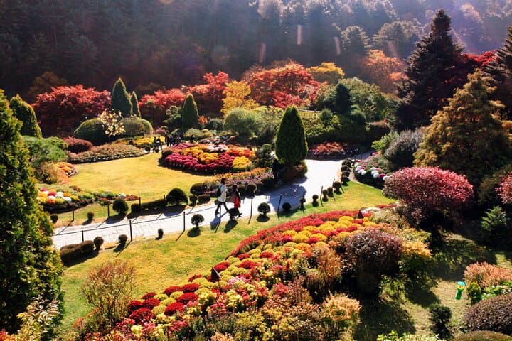 Seoul Day Escape: Alpaca World, Nami Island & Garden of Morning Calm photo 4