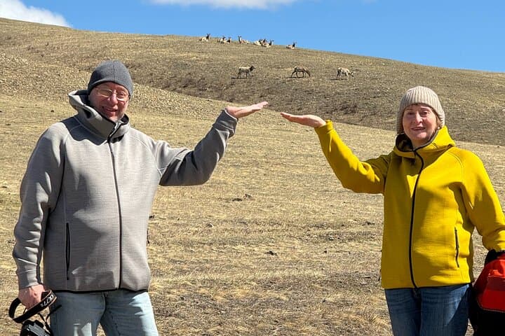 Khustai & Terelj Two-Day Wild Horse Safari from Ulaanbaatar photo 3