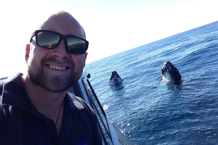 High-Speed Whale Watching in Coffs Harbour — Fast Boat Adventure with Mega Wild photo 6