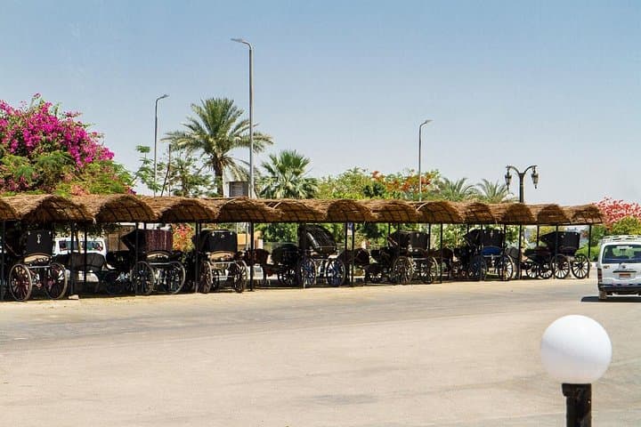 luxor-horse-carriage-city-tour-corniche-sphinx-alley photo 3