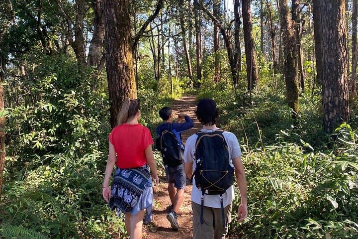 11km Sacred Mountain Hike: Doi Suthep to Khun Chang Khian