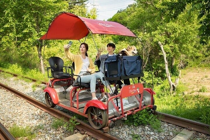Seoul Day Trip to Nami Island, Petite France & Gangchon Rail Bike photo 5