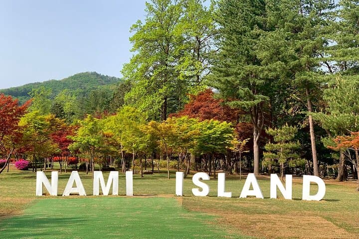Seoul Day Trip to Nami Island, Petite France & Gangchon Rail Bike photo 6